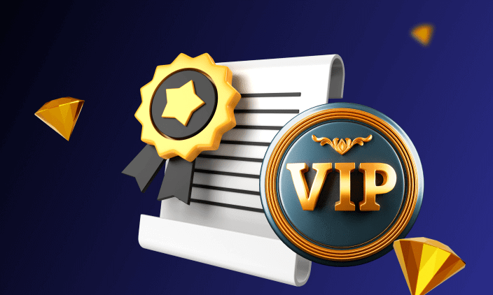 VIP Programs and Perks